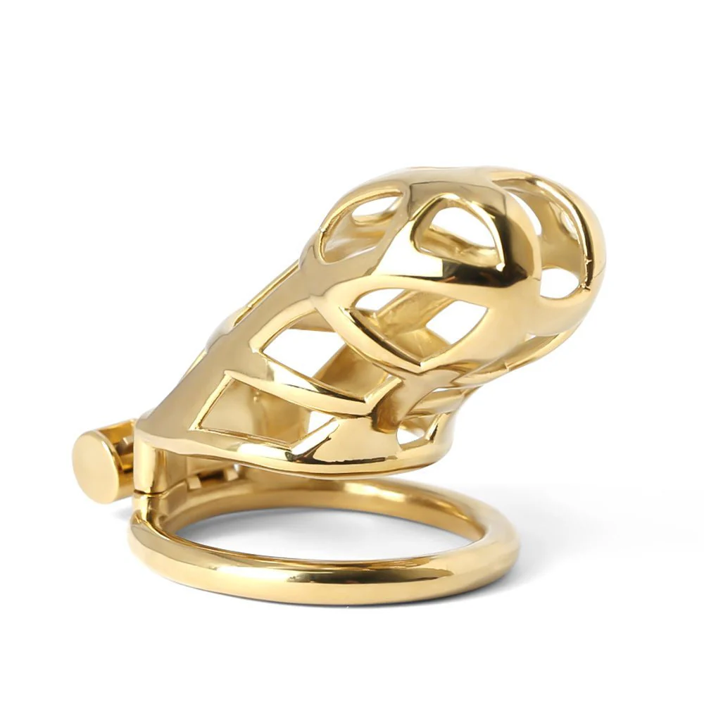 GOLD platted Steel Guardian - Image 9