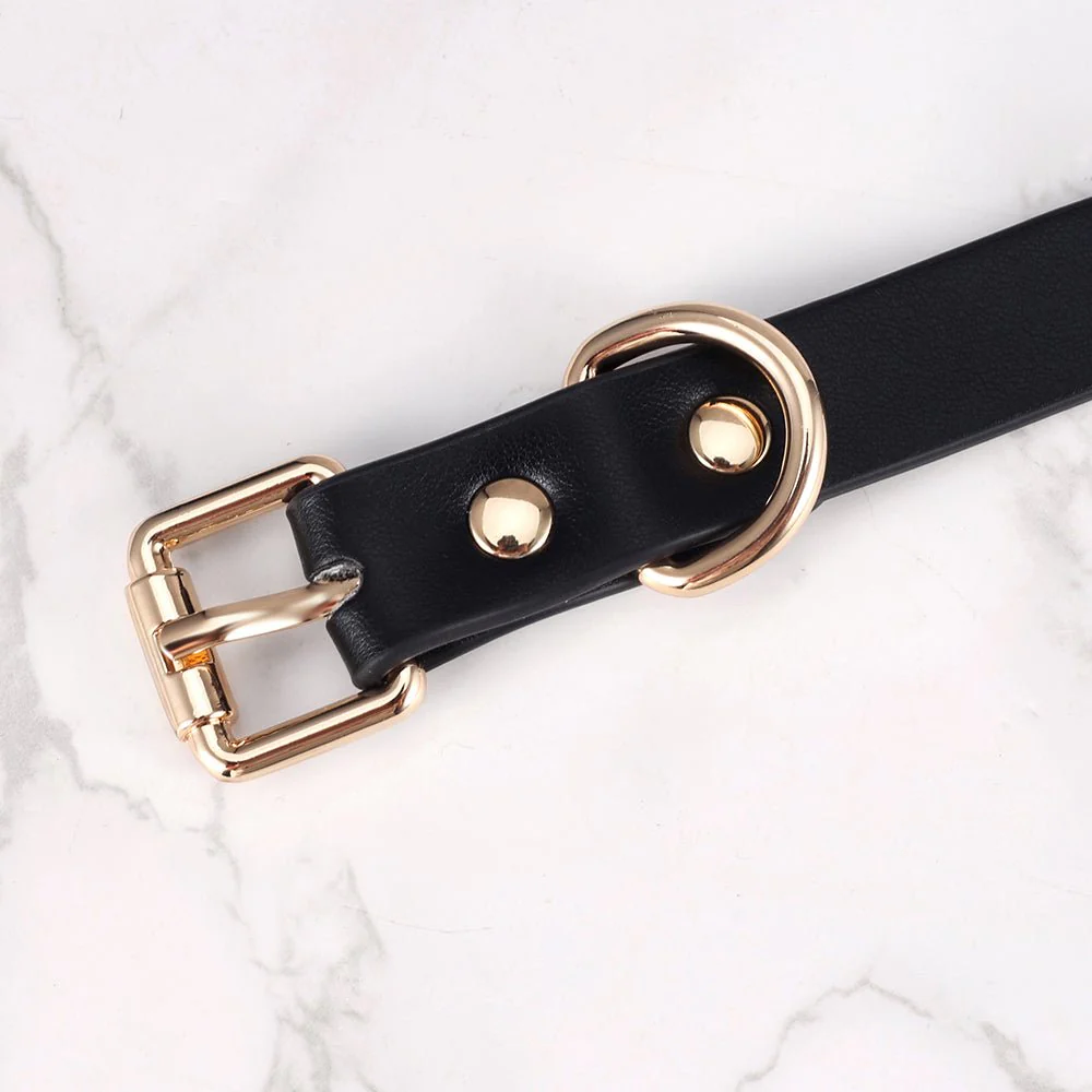 Mandy's Collar & Self Discpline Box - Image 7