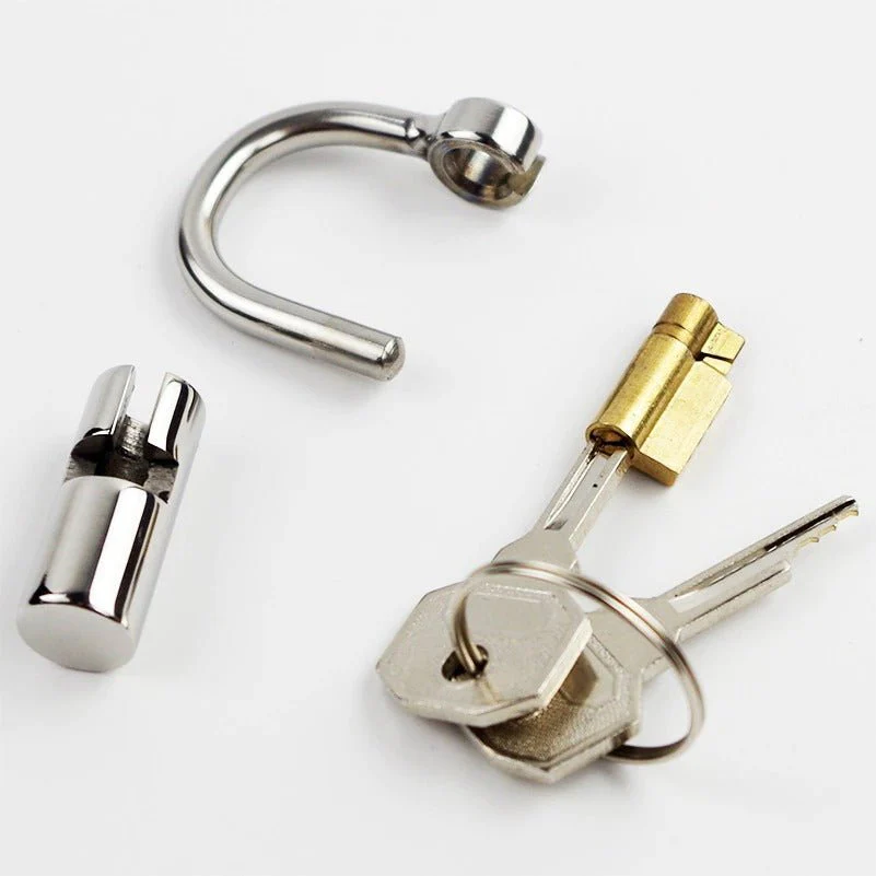 Stainless Steel PA Lock - Prince Albert Locked chastity Piercing - Image 7