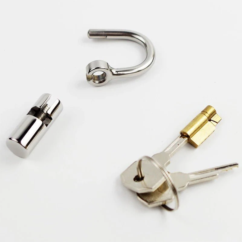 Stainless Steel PA Lock - Prince Albert Locked chastity Piercing - Image 9